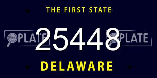 25448 Delaware License Plate