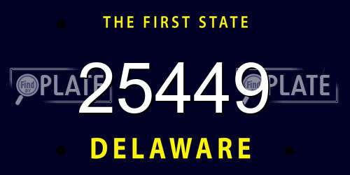 25449 Delaware License Plate