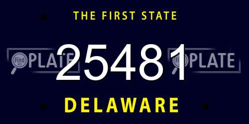 25481 Delaware License Plate