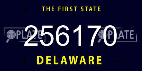 256170 Delaware License Plate