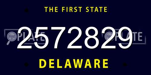 2572829 Delaware License Plate