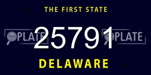 25791 Delaware License Plate