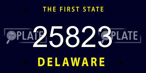 25823 Delaware License Plate