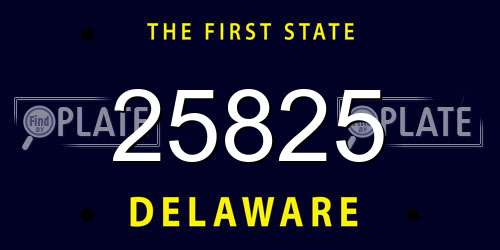 25825 Delaware License Plate