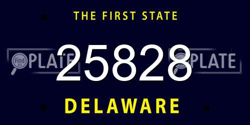 25828 Delaware License Plate