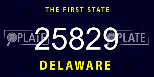 25829 Delaware License Plate