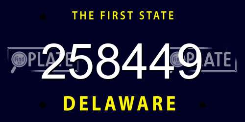 258449 Delaware License Plate