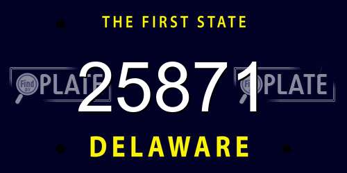 25871 Delaware License Plate