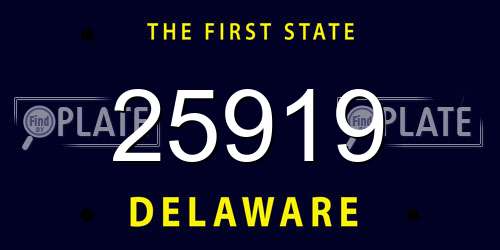 25919 Delaware License Plate