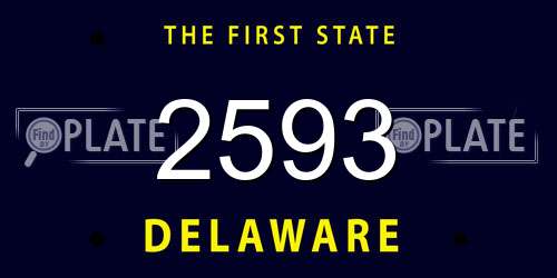 2593 Delaware License Plate
