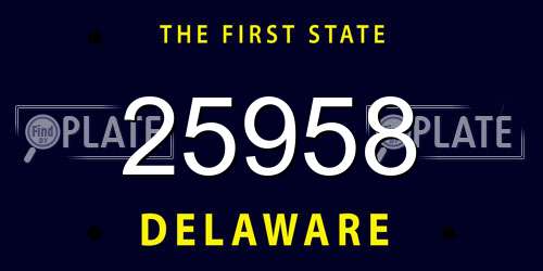 25958 Delaware License Plate