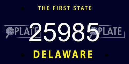 25985 Delaware License Plate