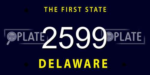 2599 Delaware License Plate