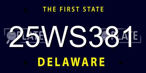 25WS381 Delaware License Plate