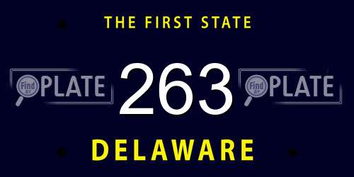 263 Delaware License Plate