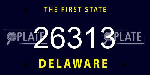 26313 Delaware License Plate