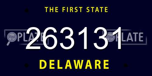 263131 Delaware License Plate