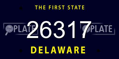 26317 Delaware License Plate