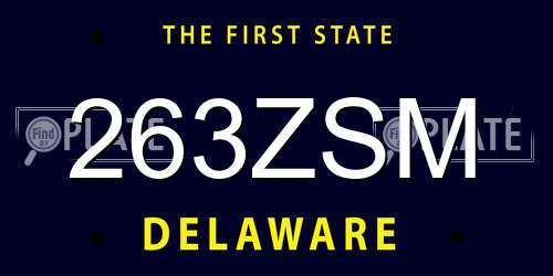 263ZSM Delaware License Plate