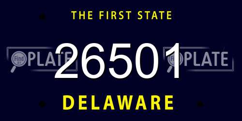 26501 Delaware License Plate