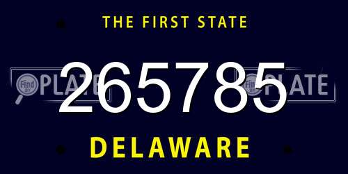 265785 Delaware License Plate
