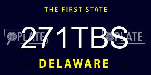 271TBS Delaware License Plate
