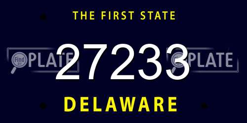 27233 Delaware License Plate