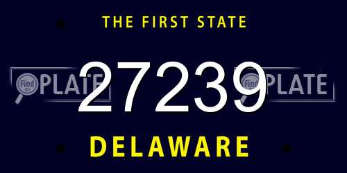 27239 Delaware License Plate