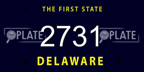 2731 Delaware License Plate