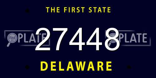 27448 Delaware License Plate