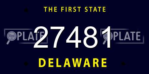 27481 Delaware License Plate