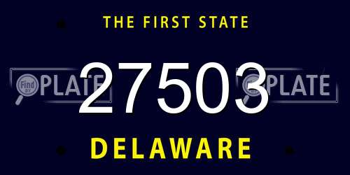 27503 Delaware License Plate