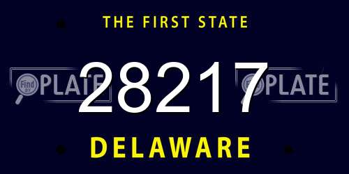28217 Delaware License Plate