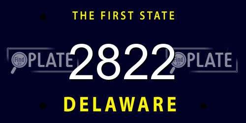 2822 Delaware License Plate