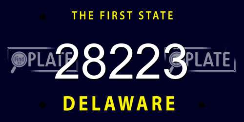 28223 Delaware License Plate