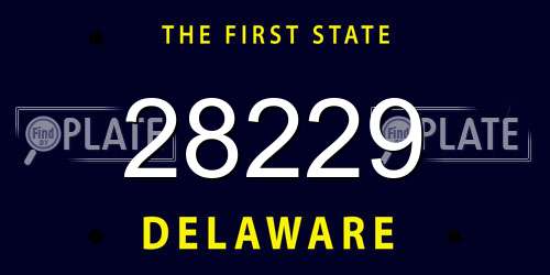 28229 Delaware License Plate