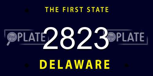 2823 Delaware License Plate