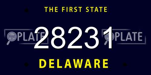 28231 Delaware License Plate