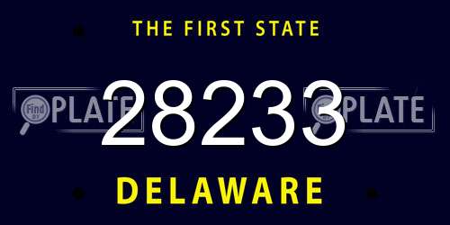 28233 Delaware License Plate
