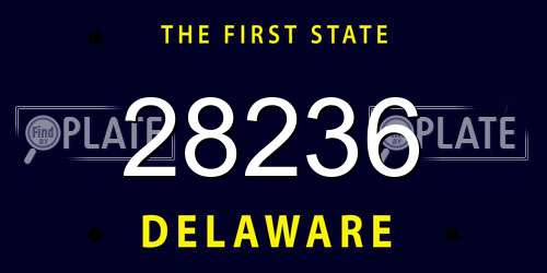 28236 Delaware License Plate