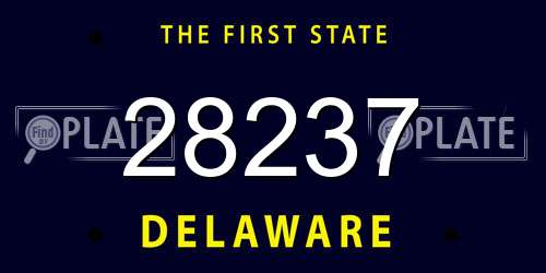 28237 Delaware License Plate