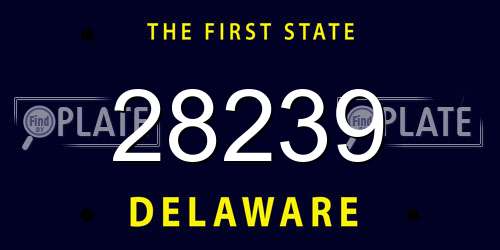 28239 Delaware License Plate