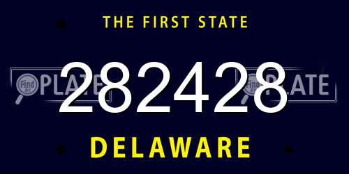 282428 Delaware License Plate