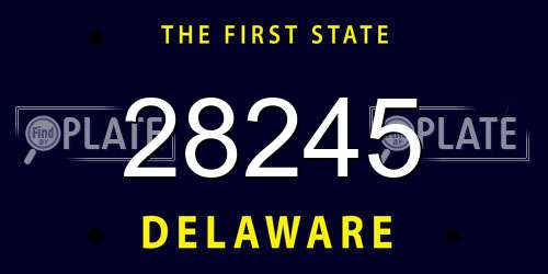 28245 Delaware License Plate