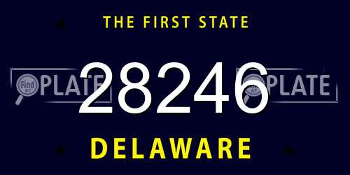 28246 Delaware License Plate