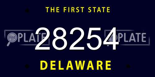 28254 Delaware License Plate