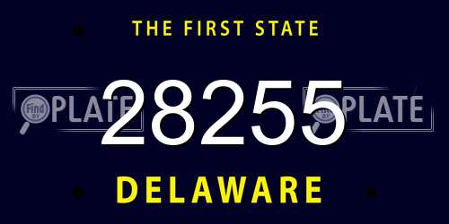 28255 Delaware License Plate