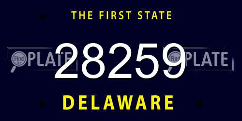 28259 Delaware License Plate