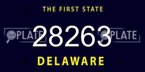 28263 Delaware License Plate