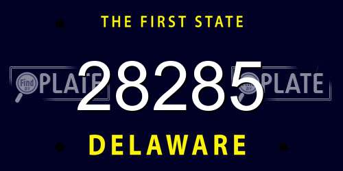 28285 Delaware License Plate